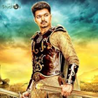 Puli