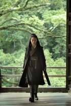 The Assassin