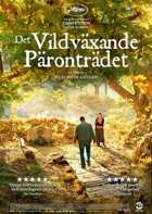 Det Ville Pæretreet